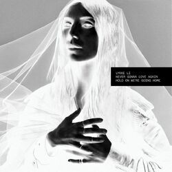 Cover of Never Gonna Love Again
