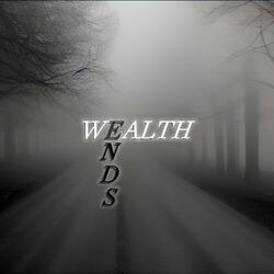 Cover of Wealth