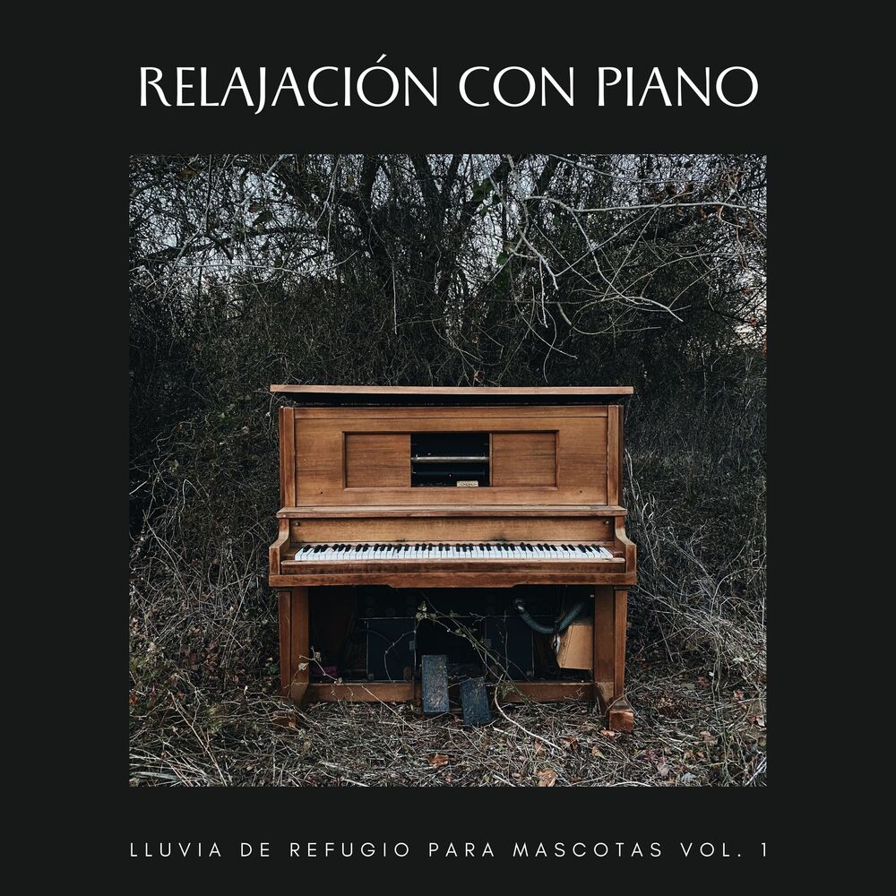 Picture of Relajación Con Piano: Lluvia De Refugio Para Mascotas Vol. 1