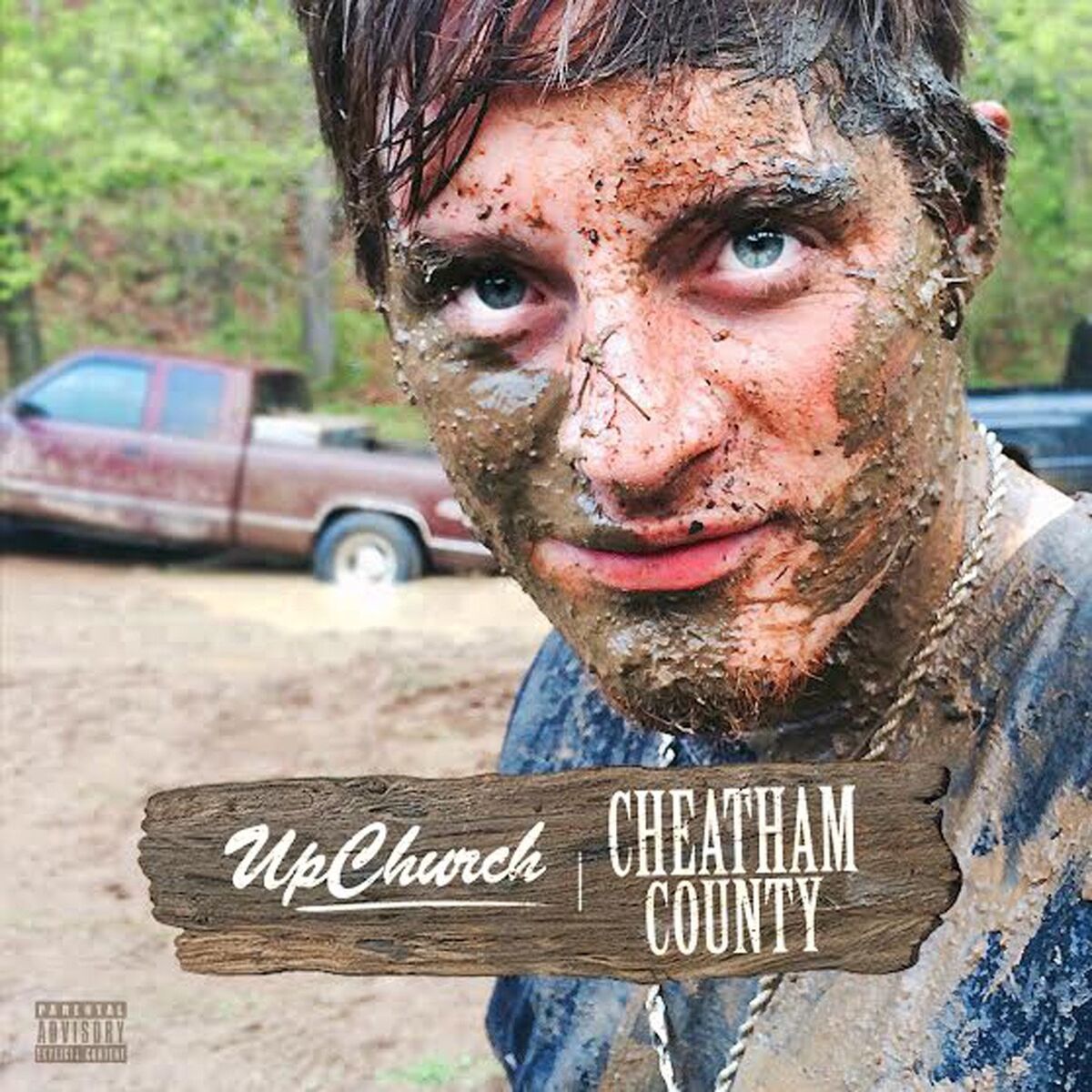 Album cover of Cheatham County