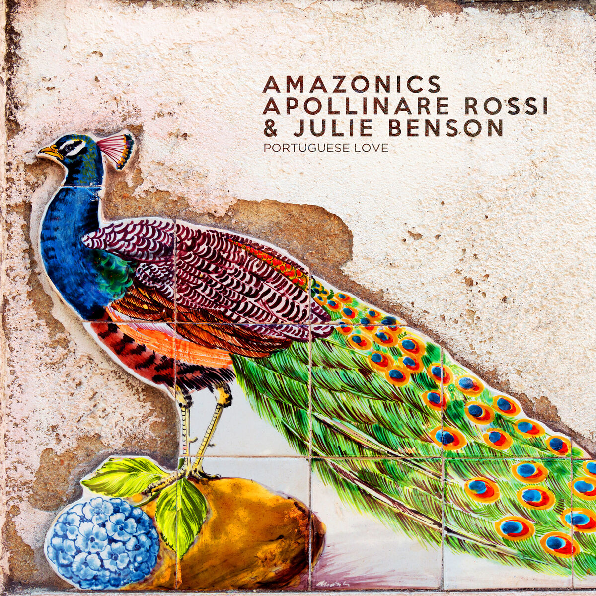 Album cover of Portuguese Love