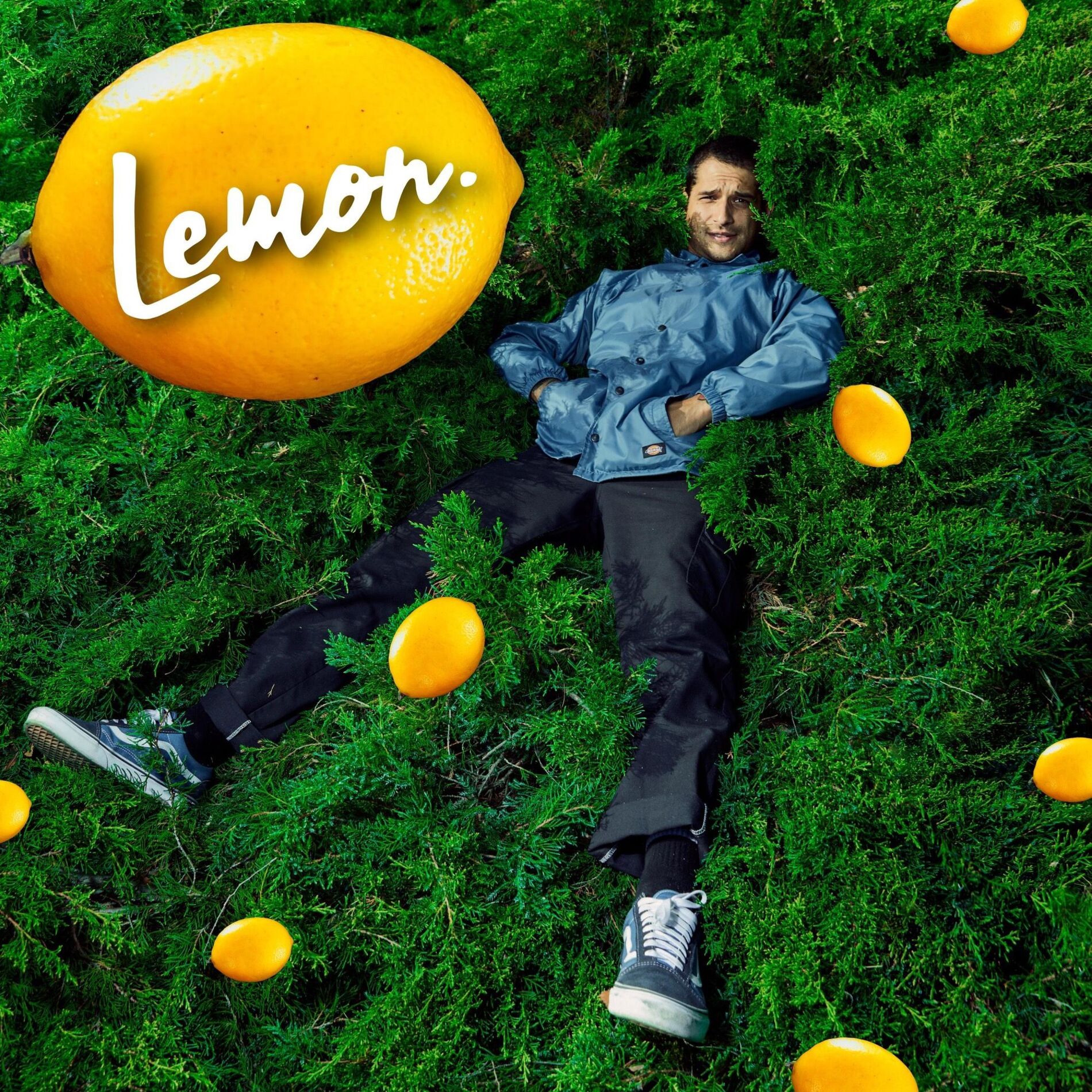 Album cover of Lemon.