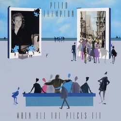 Cover of When All The Pieces Fit