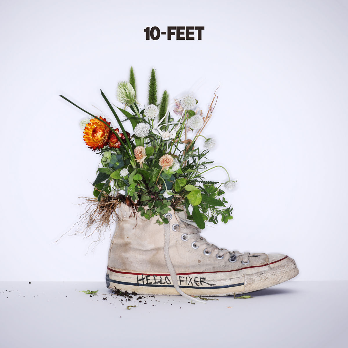 10-FEET: albums, songs, concerts | Deezer