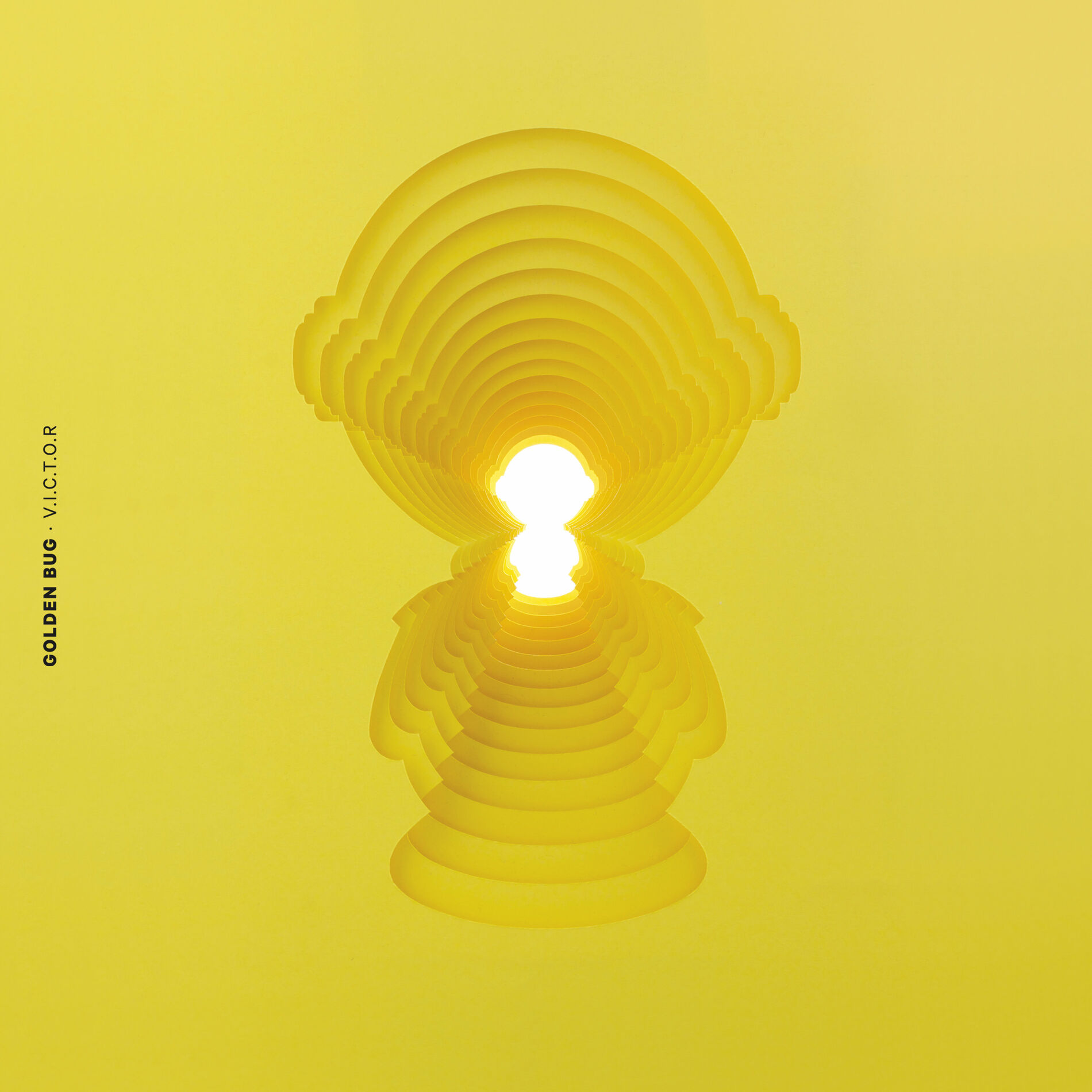 Album cover of V.I.C.T.O.R