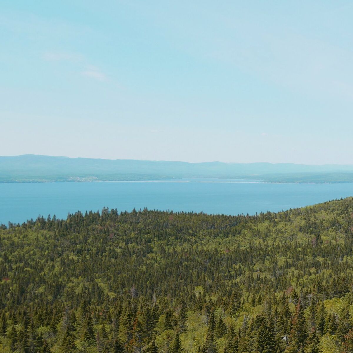 Album cover of Boreal