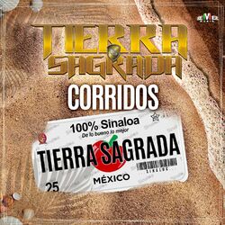 Cover of Corridos 100% Sinaloa