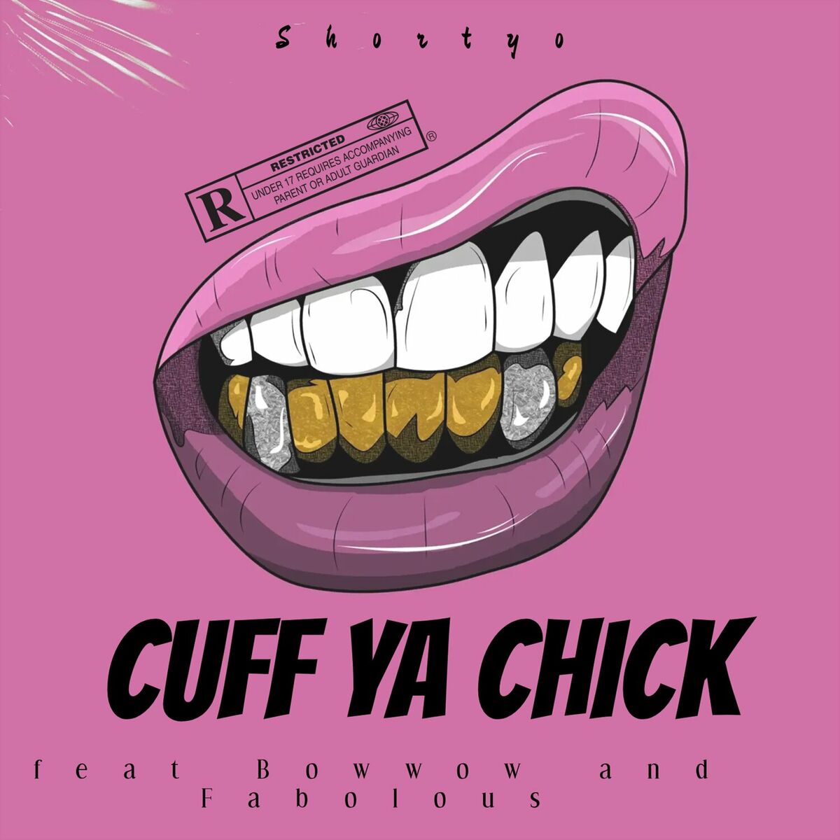 Album cover of Cuff Ya Chick (feat. Bow Wow & Fabolous)