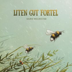 Cover of Liten Gut Fortel