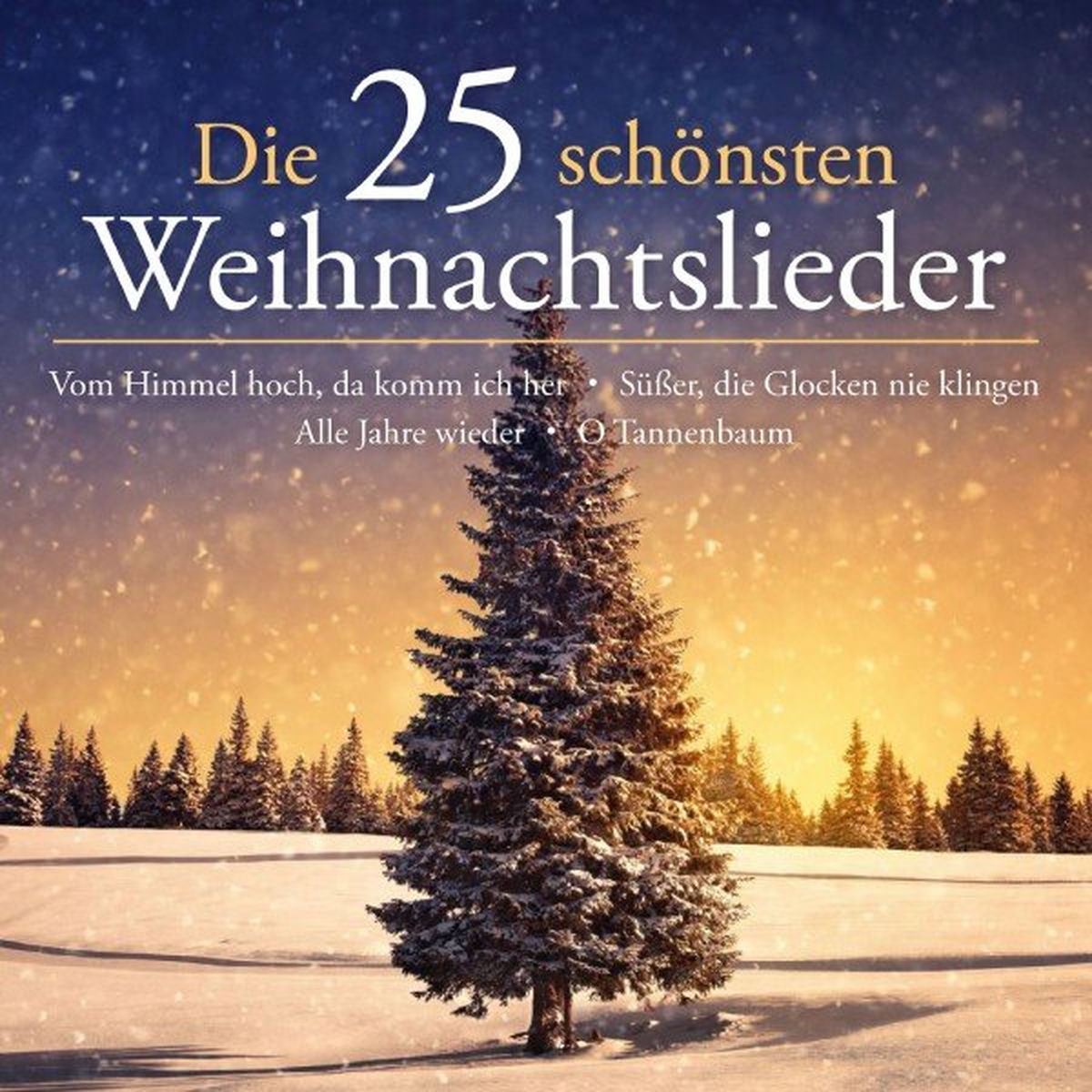 Album cover of Vom Himmel hoch, da komm' ich her
