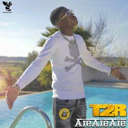 Cover of Aïe Aïe Aïe