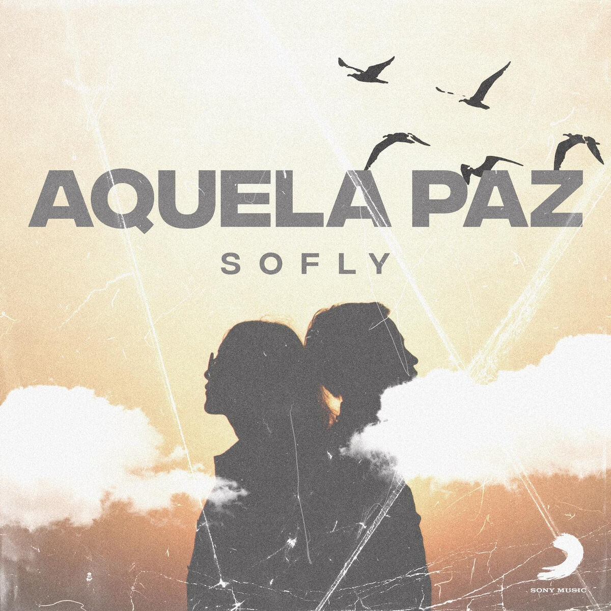 Album cover of Aquela Paz