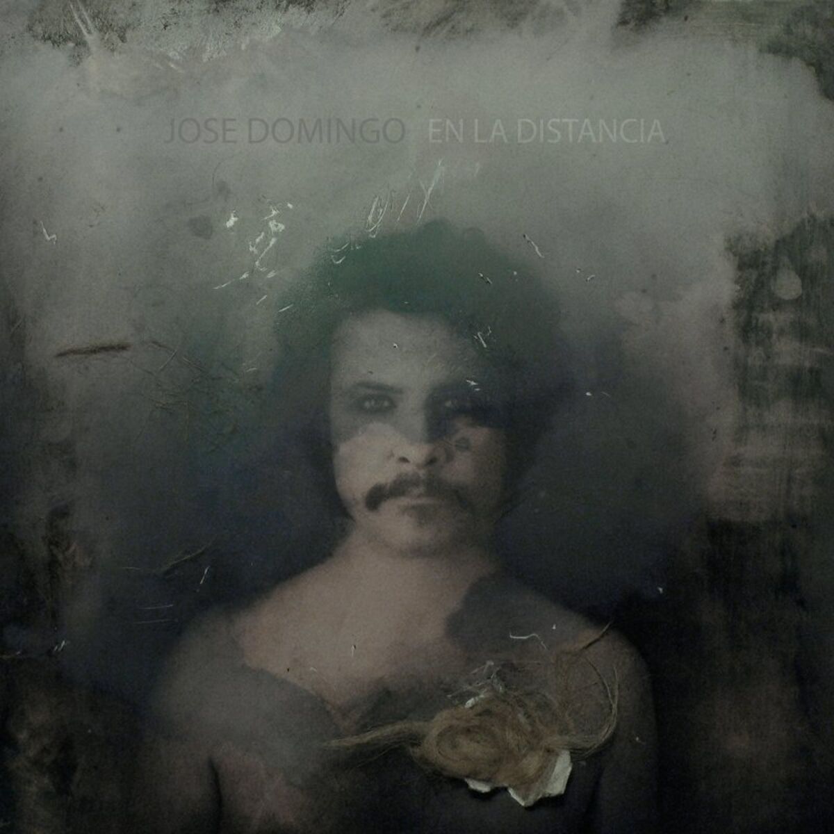 Album cover of En la Distancia