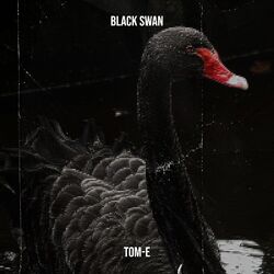 Cover of Black Swan