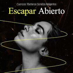 Cover of Escapar Abierto