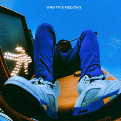 Cover of WHO TF IS MELVONI?
