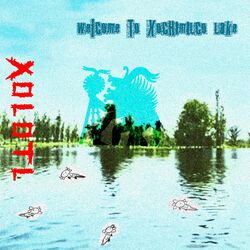 Cover of Welcome To Xochimilco Lake (Rookie Mastering)