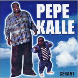 Cover of Gérant