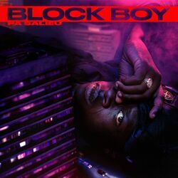 Cover of Block Boy