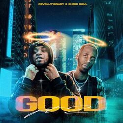 Cover of Good 2.0
