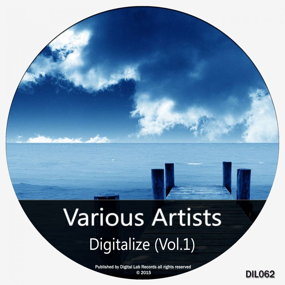Picture of Digitalize (Vol.1)
