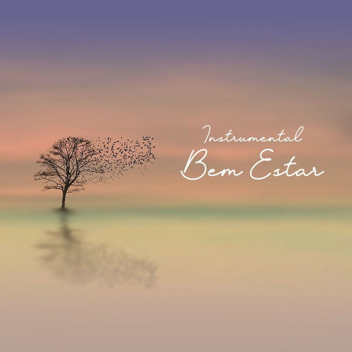 Album cover of Instrumental: Bem Estar