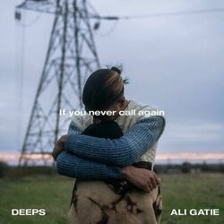 Cover of If You Never Call Again
