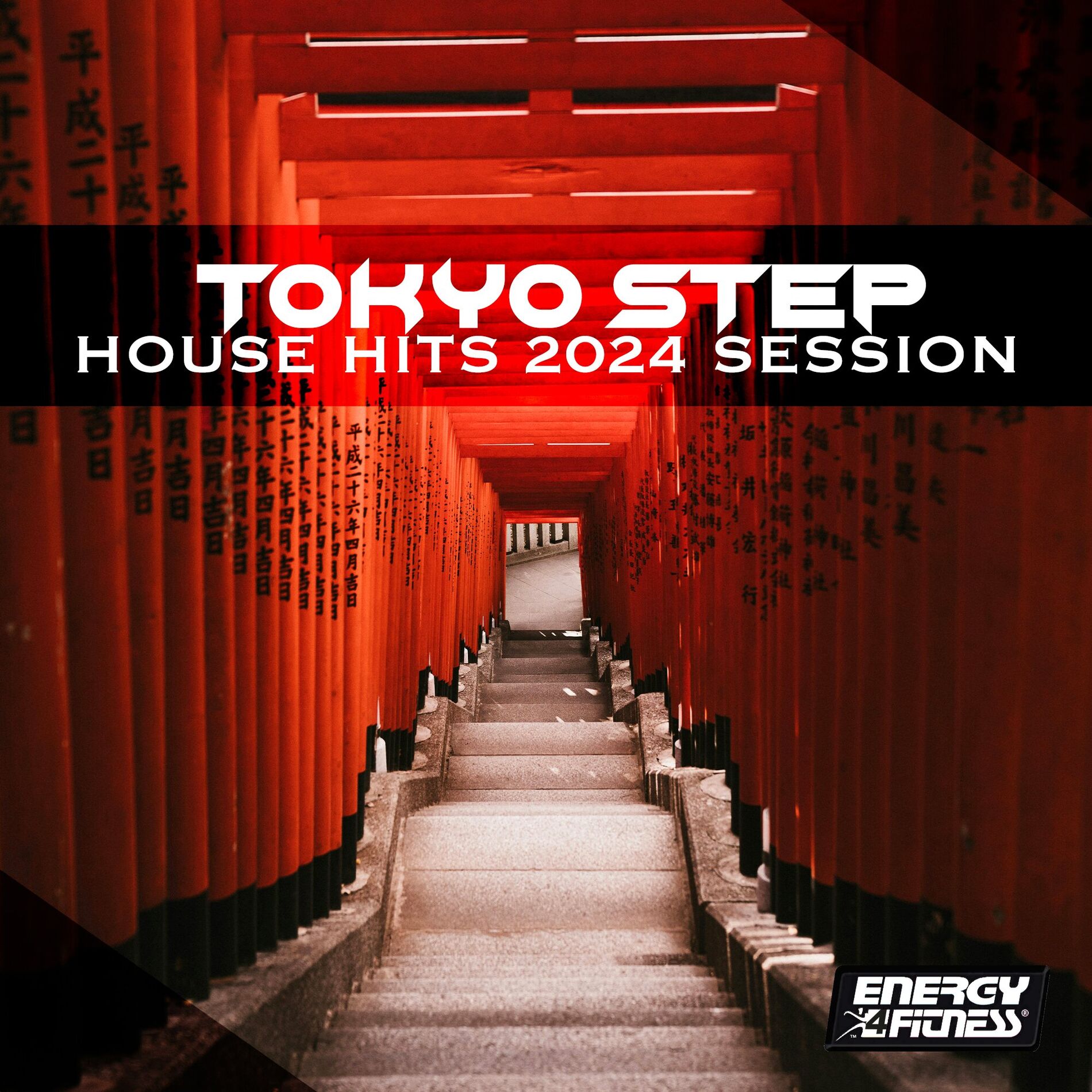 Album cover of Tokyo Step House Hits 2024 Session 132 Bpm / 32 Count