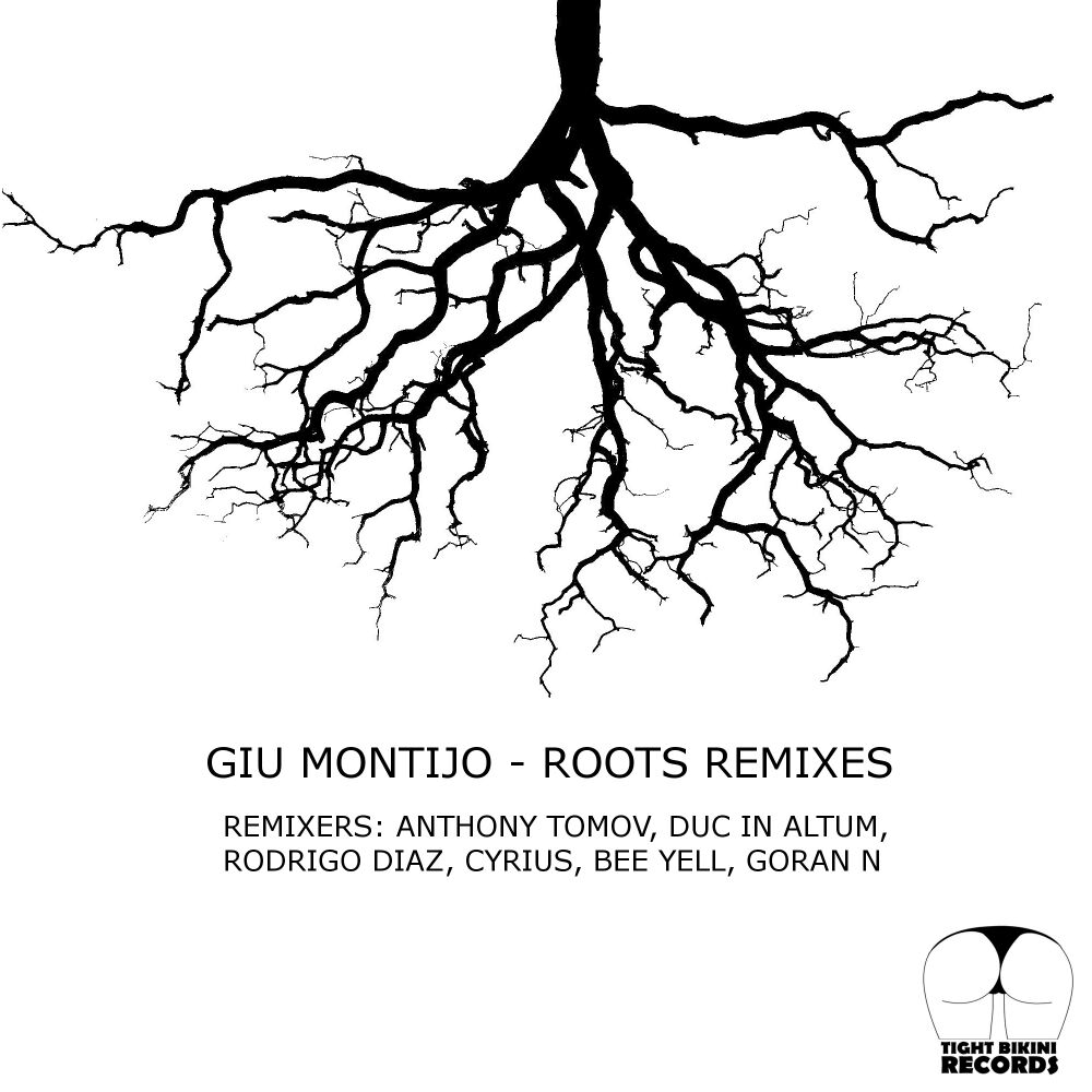 Picture of Roots Remixes