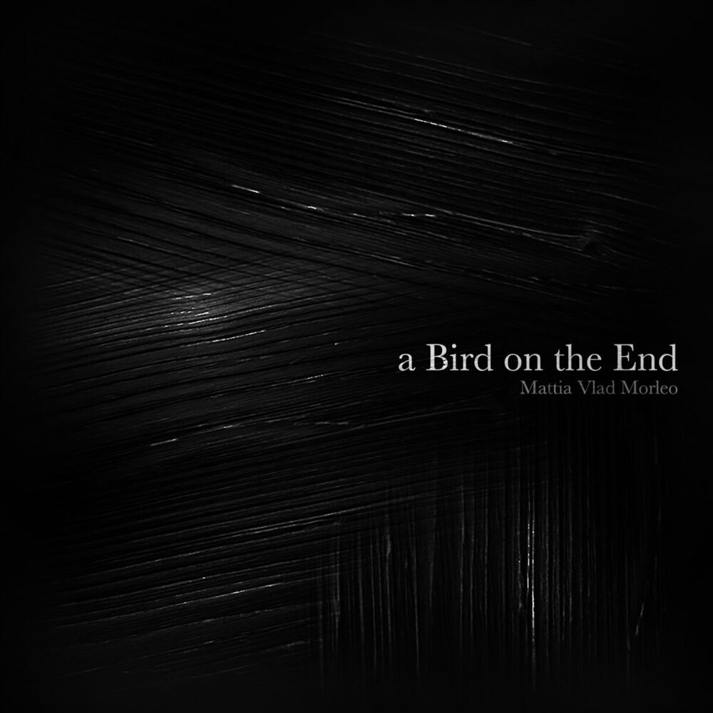 Picture of A Bird on the End