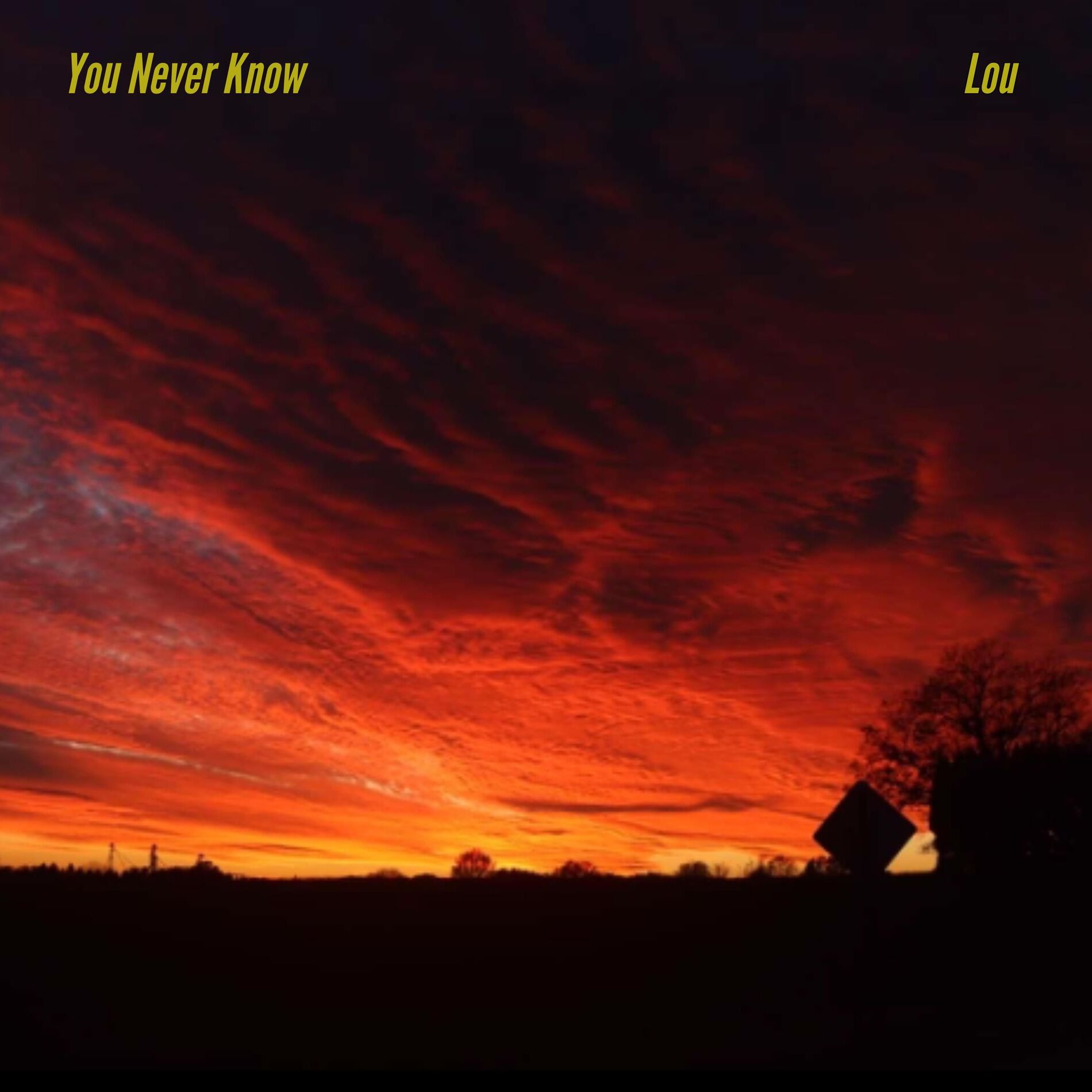 Album cover of You Never Know