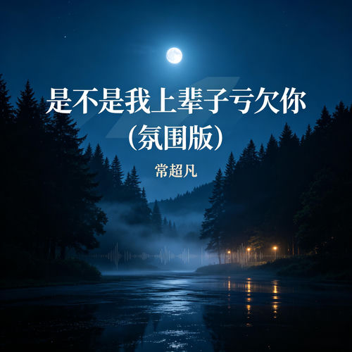 是不是我上辈子亏欠你 (氛围版)