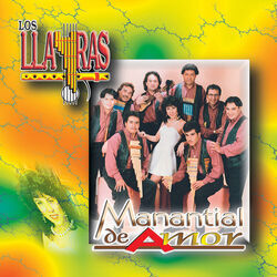 Cover of Manantial De Amor
