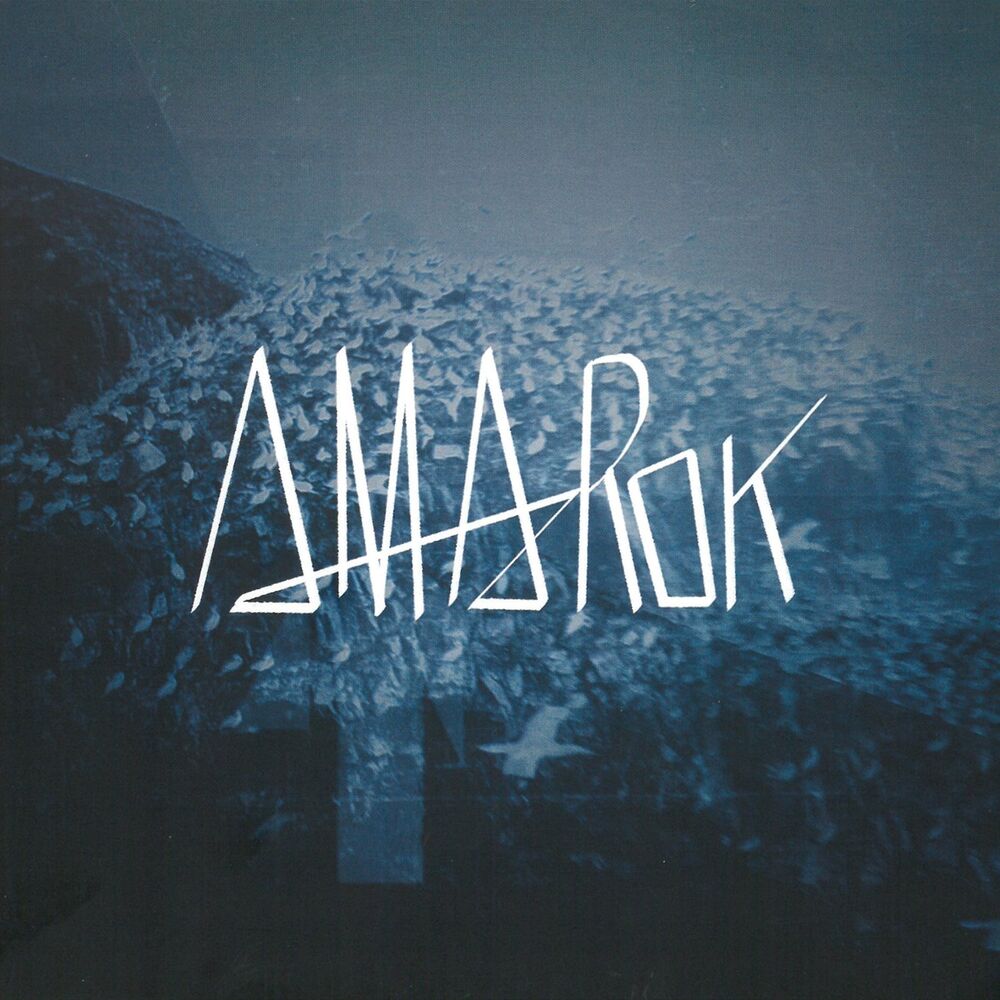 Picture of Amarok