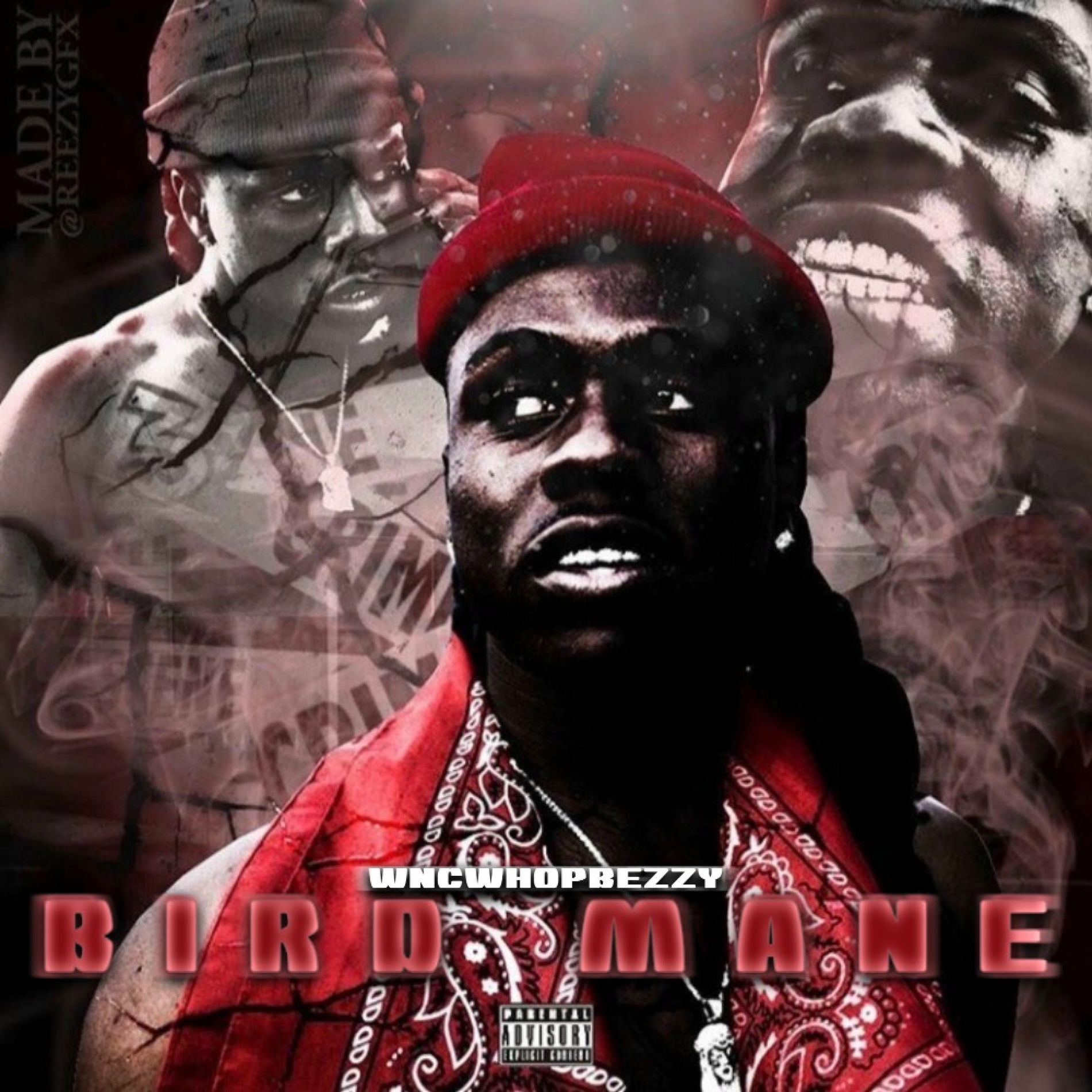 Album cover of Bird Mane