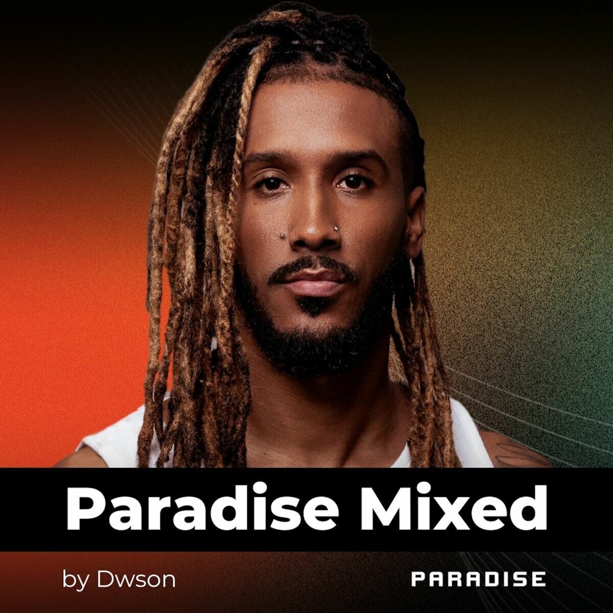 Album cover of Paradise Mixed (DJ Mix)
