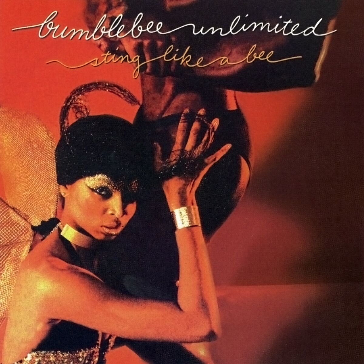 Album cover of Sting Like a Bee