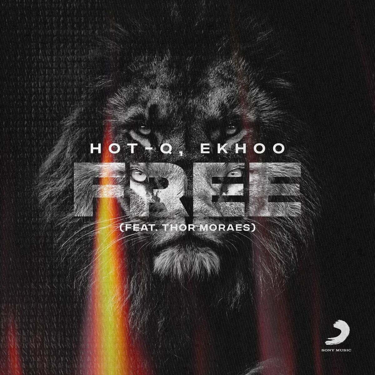 Album cover of Free (feat. Thor Moraes)