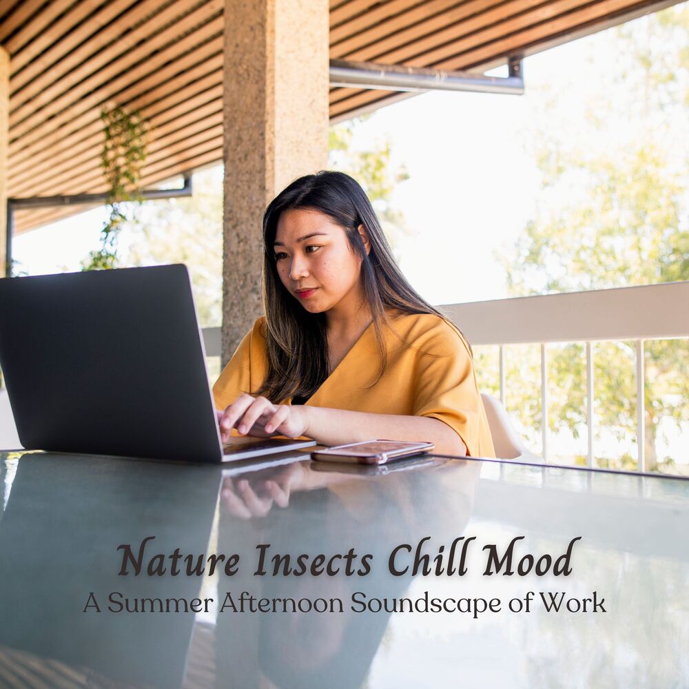 Picture of Nature Insects Chill Mood: A Summer Afternoon Soundscape of Work