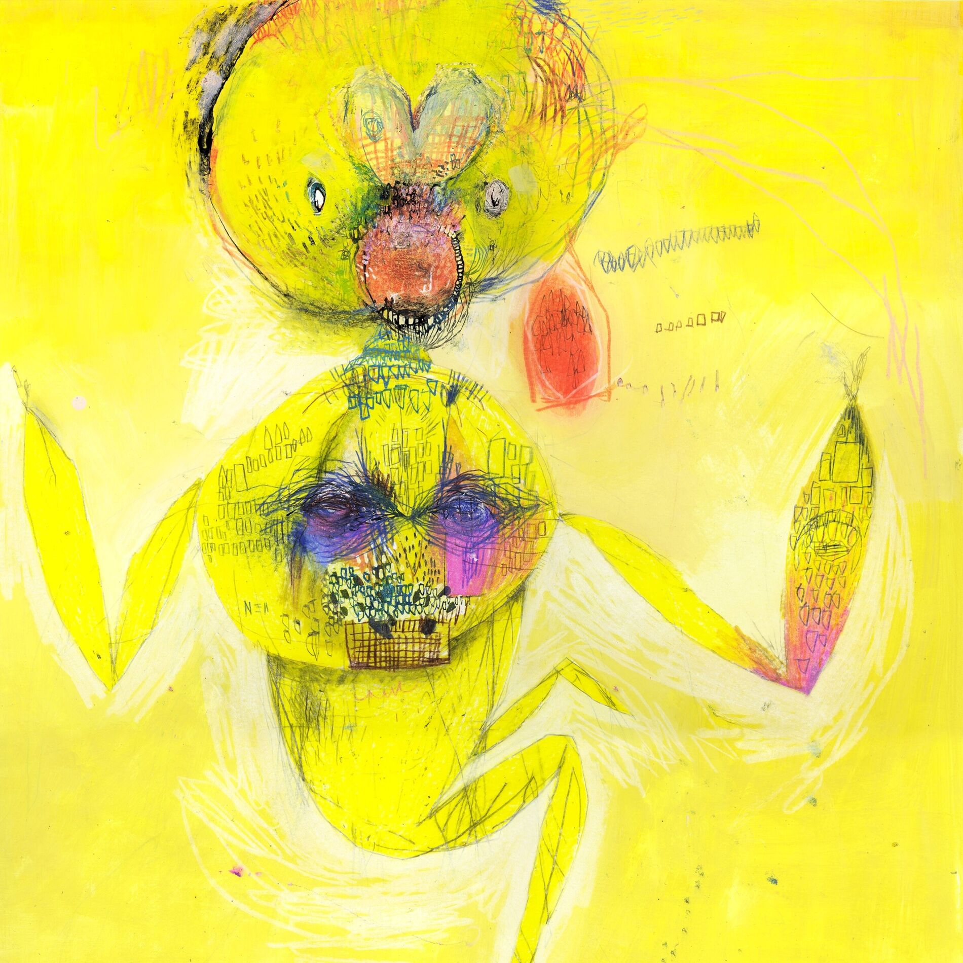 Album cover of leap, in the mellow green flash