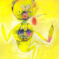 Cover of idola