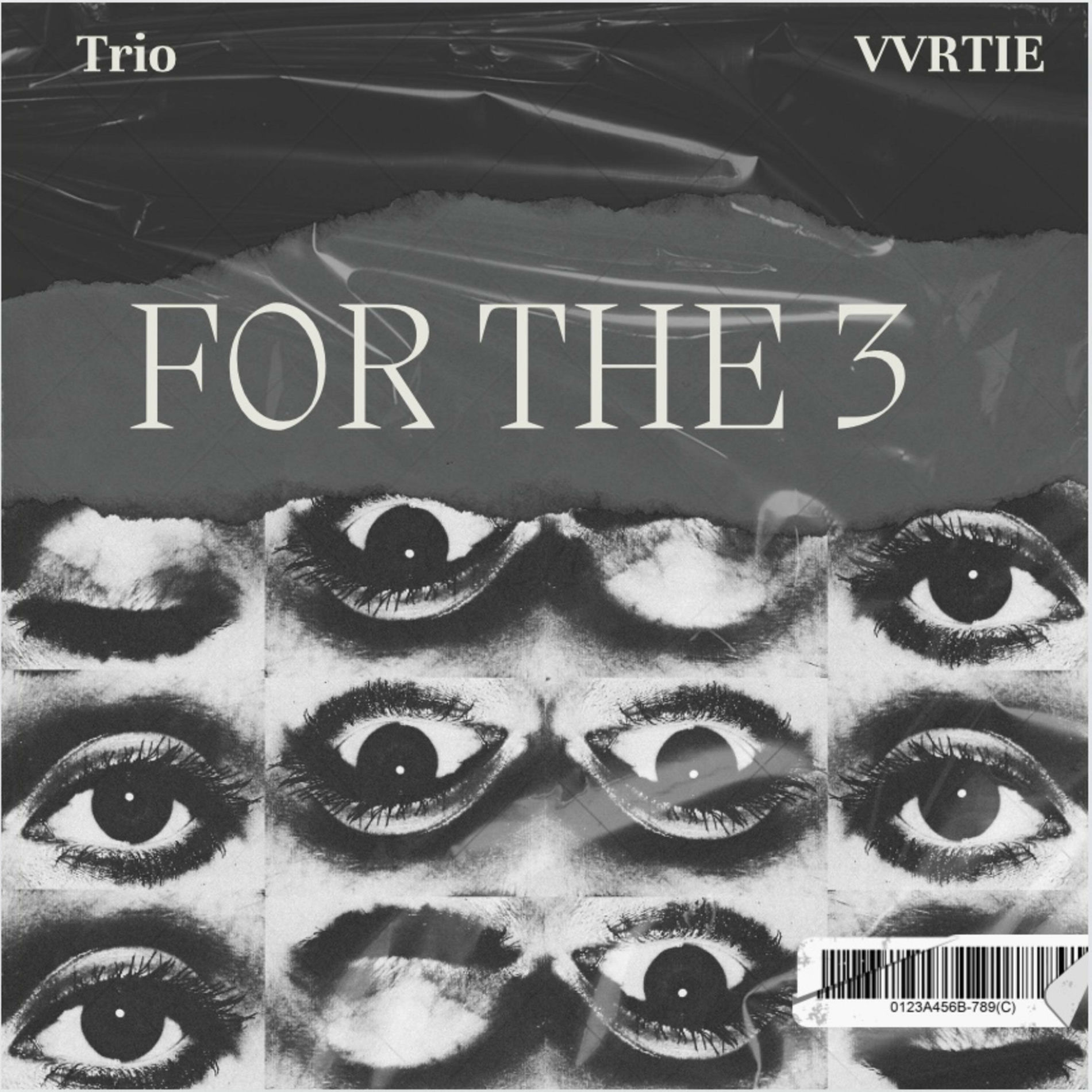 Album cover of For The 3