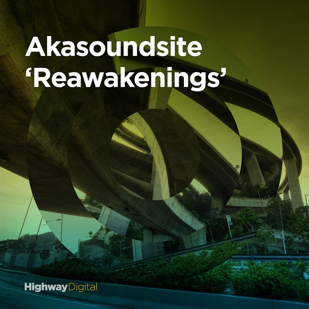 Picture of Reawakenings