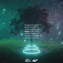 Cover of What You Say