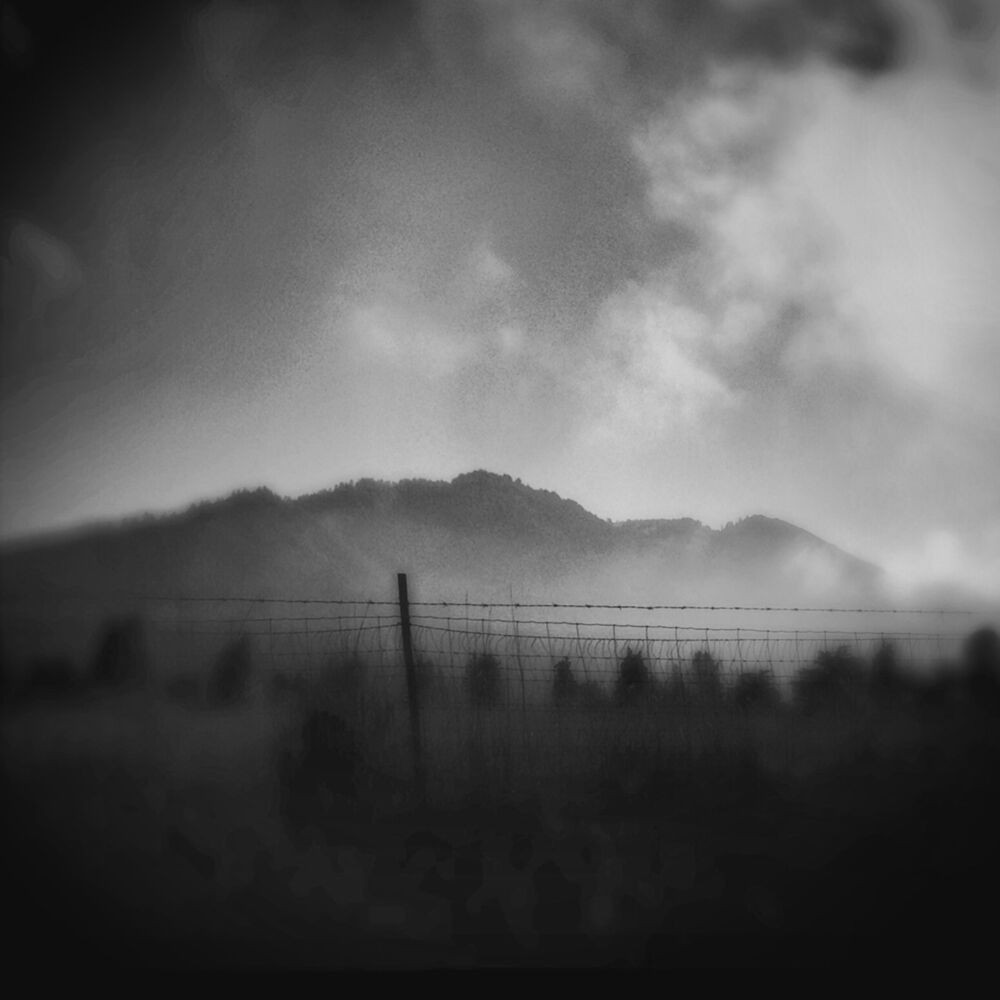 Picture of Settled Scores: Music for Film Vol. I