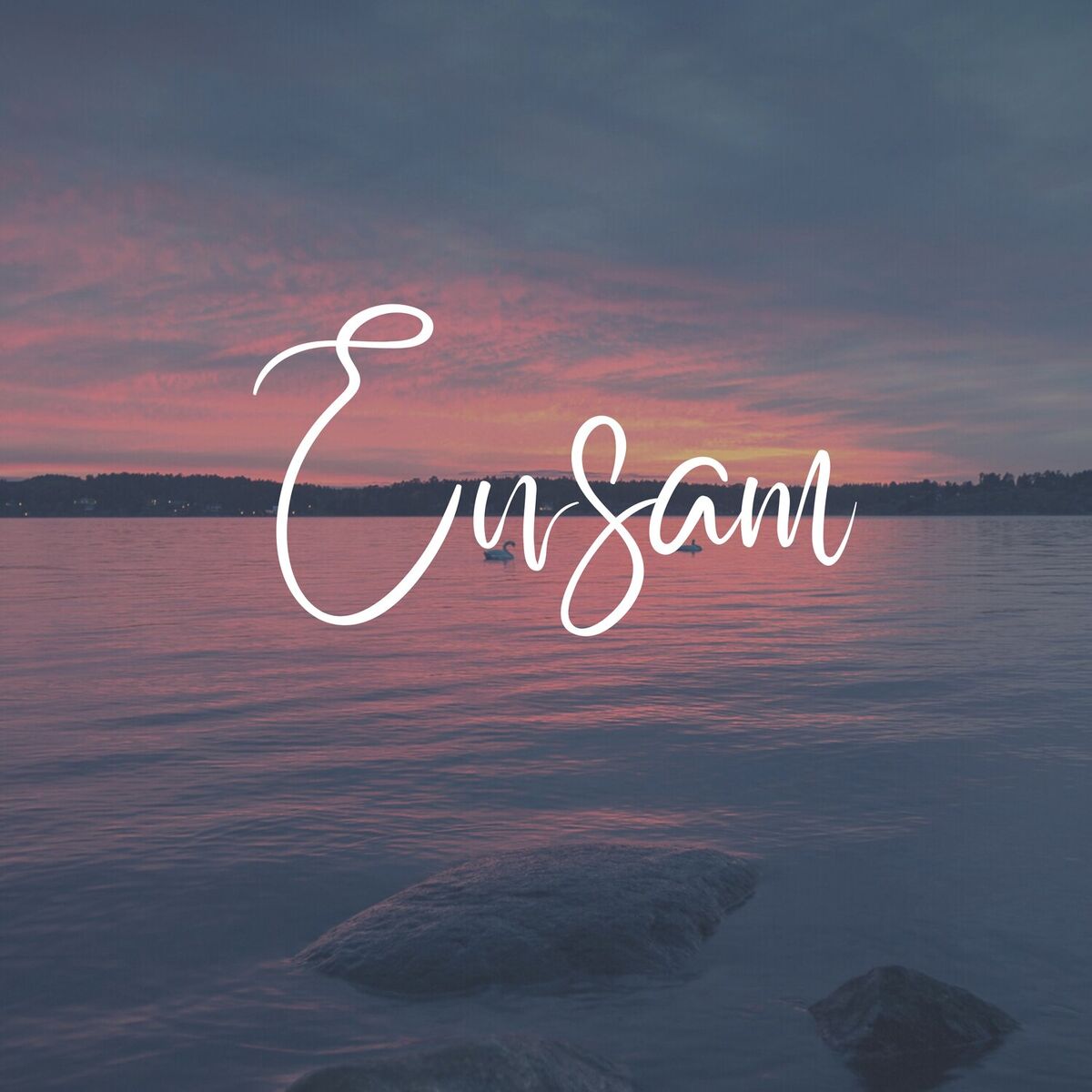 Album cover of Ensam