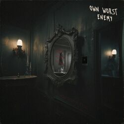 Cover of Own Worst Enemy