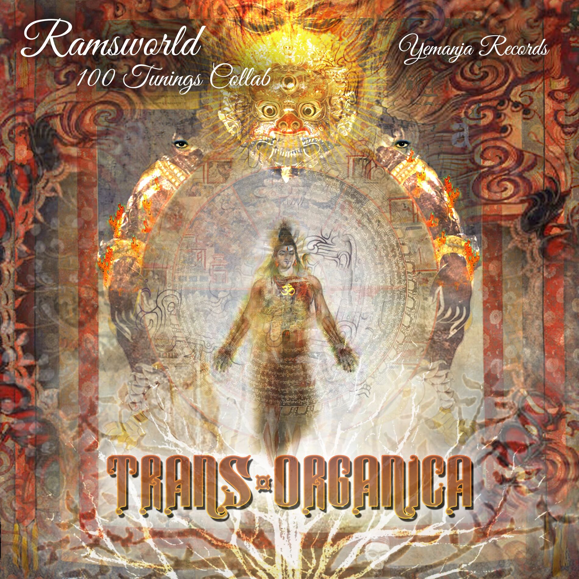 Album cover of 100 Tunings Collab (Trans-Organica)