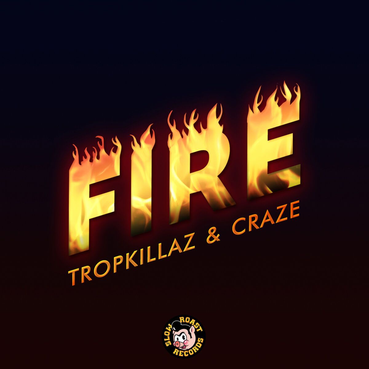 Album cover of Fire