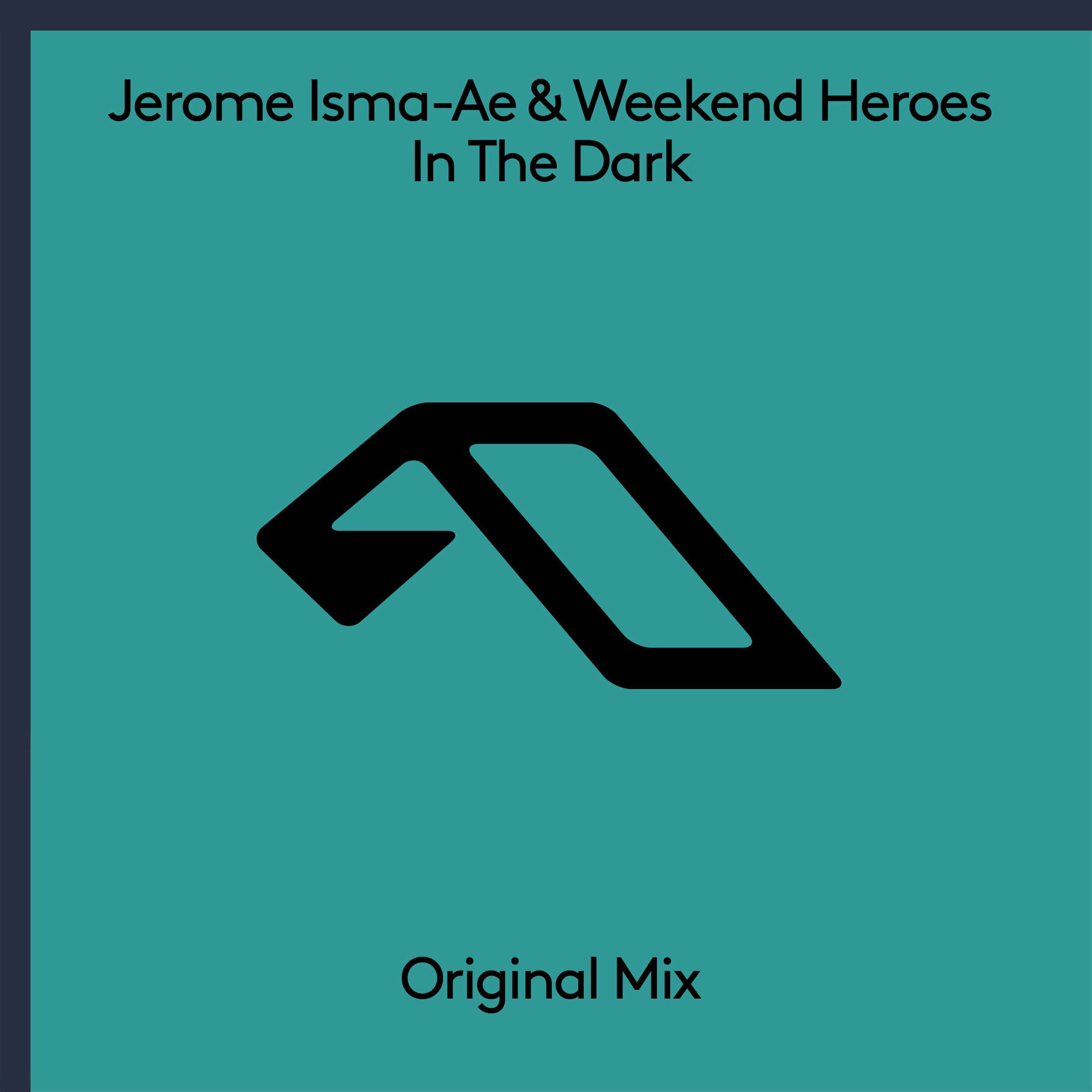 Album cover of In The Dark